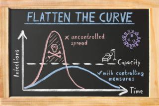 COVID-19: How veterinary practices can help flatten the curve