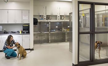 veterinary-vca-vancouver-glass-enclosure-450.jpg