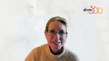 Jane Sykes at WVC interview with dvm360