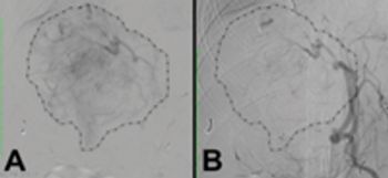 veterinary_0512_radiology_fig3_t-773132-1384160113539.jpg