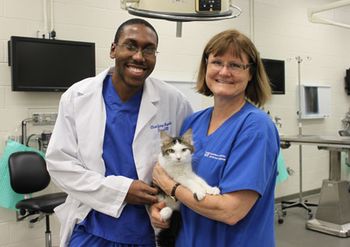 uf_tail_vaccinations-827339-1404217548549.jpg