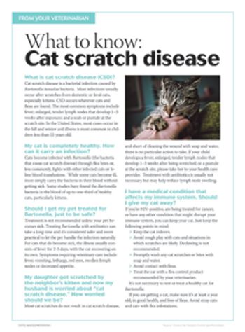 dvm360-0516-toolkit-handout-catscratchdisease-220px.jpg