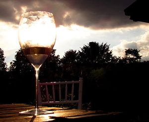 veterinary-wine-glass-stormy-sky-AdobeStock-172713915-450px.jpg