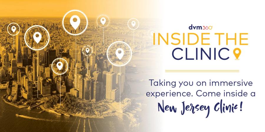 Inside the Clinic- Taking you on immersive experience. Come inside a New Jersey Clinic.