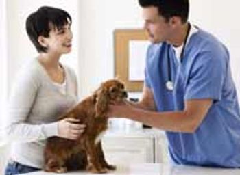 veterinary_communicate810-684697-1384218363031.jpg