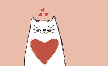 cardiology-cat-450.jpg