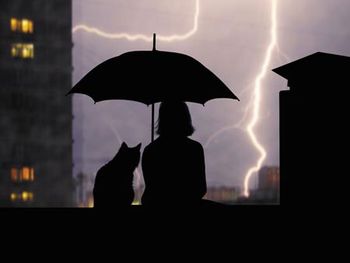 veterinary-silhouettes-girl-and-cat-umbrella-450px-622894694.jpg