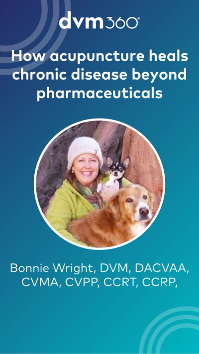 How acupuncture heals chronic disease beyond pharmaceuticals