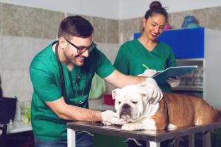 Surgeons and rehab specialists should work together for the best patient care