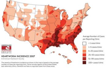 veterinary_heartworm_map_4_460-648205-1384340718524.jpg