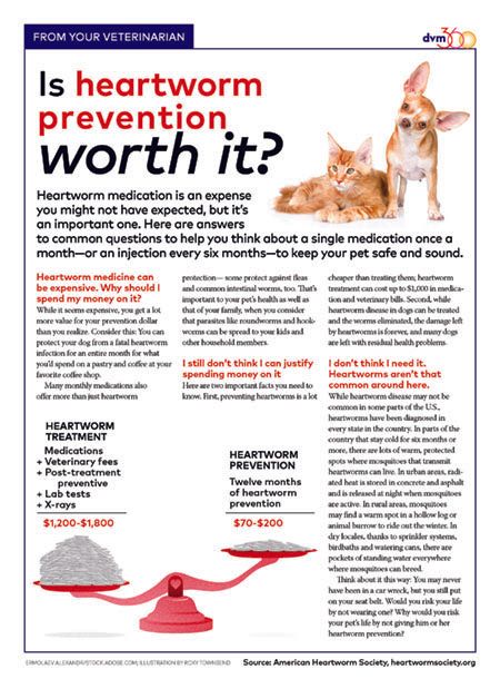 how is heartworm positive treated in dogs