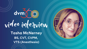 Understanding mechanical ventilator types