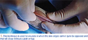 AHMS_Figure1_t-615190-1384502007464.jpg