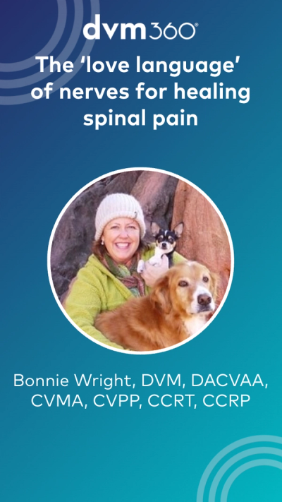 The 'love language' of nerves for healing spinal pain