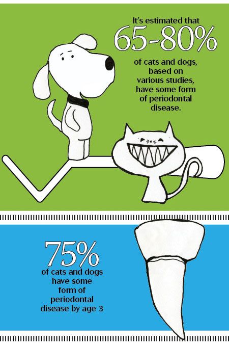 450-web-dental-screen1.jpg