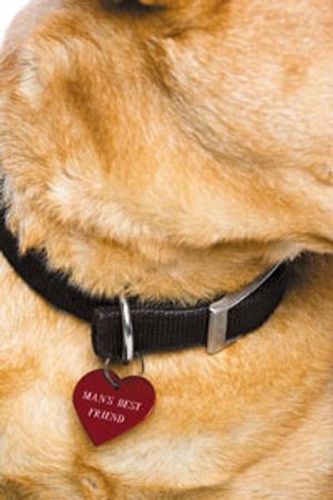 veterinary_heart_collar_200-New-1407963644932.jpg