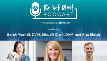 The newer normal of communicating with clients