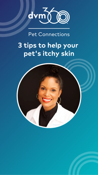 Three tips to help your pet's itchy skin