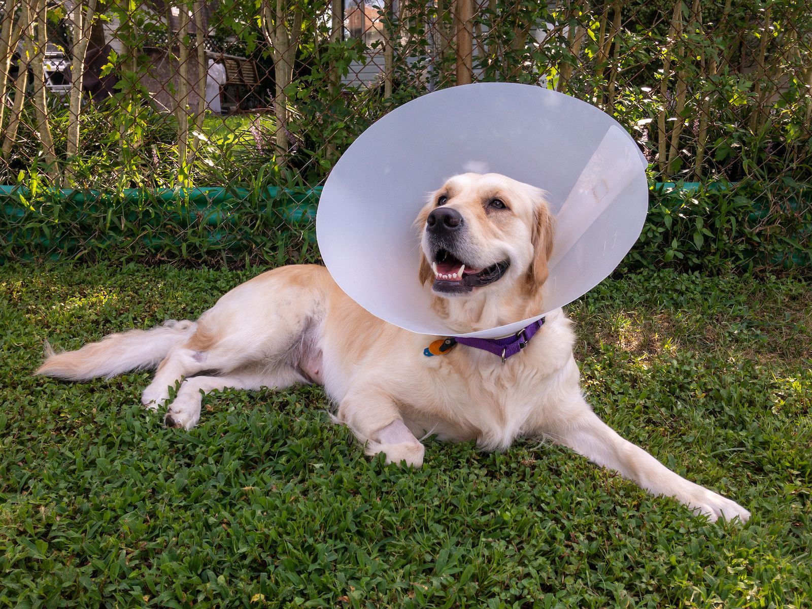 surgical cone