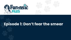 The FURensic Files - Don't fear the smear