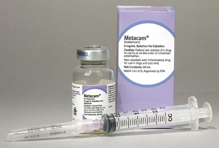 Metacam injection receives FDA approval for feline use