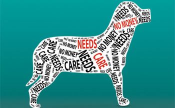 needs-care-dog-450.jpg