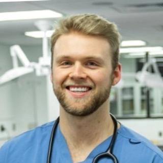 Innovative 3D models advancing veterinary medicine