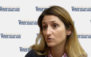 Anesthesia and Pain Management Resources for the Vet Tech