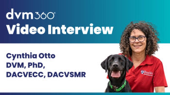 Cynthia Otto, DVM