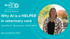 Why AI is a HELPER in veterinary care