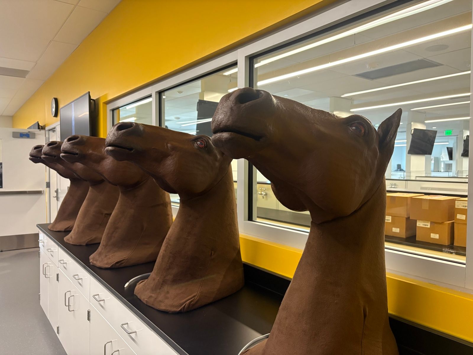 Model horses