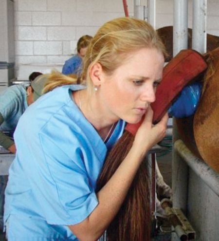 equine_student4_norvall-689136-1384227010923.jpg