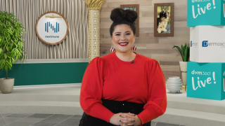 The multimodal approach to the itchy pet: treating from a "whole-animal" perspective