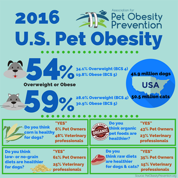 2016 U.S. Pet Obesity Infographic-body.png