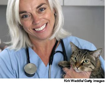 veterinary_optimist_wd-601776-1384508066865.jpg