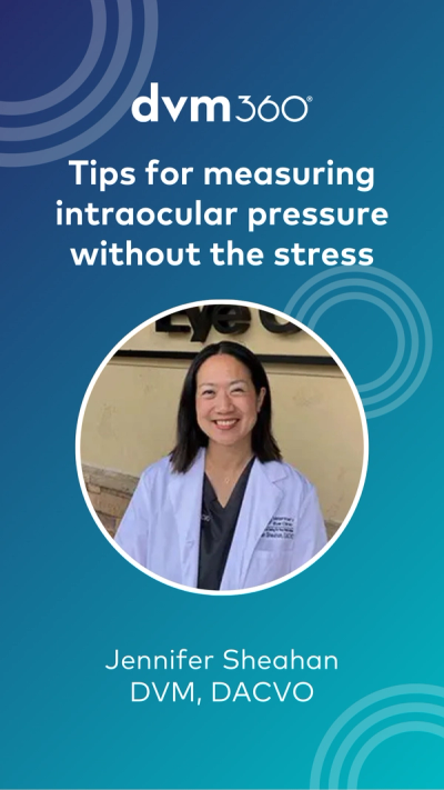 Tips for measuring intraocular pressure without the stress