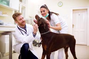 Take care of exceptional employees