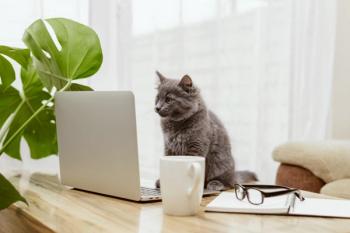 Photo: Elena Medoks/Adobe Stock