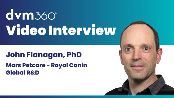 A nutrition-first look at treating overweight diabetic cats