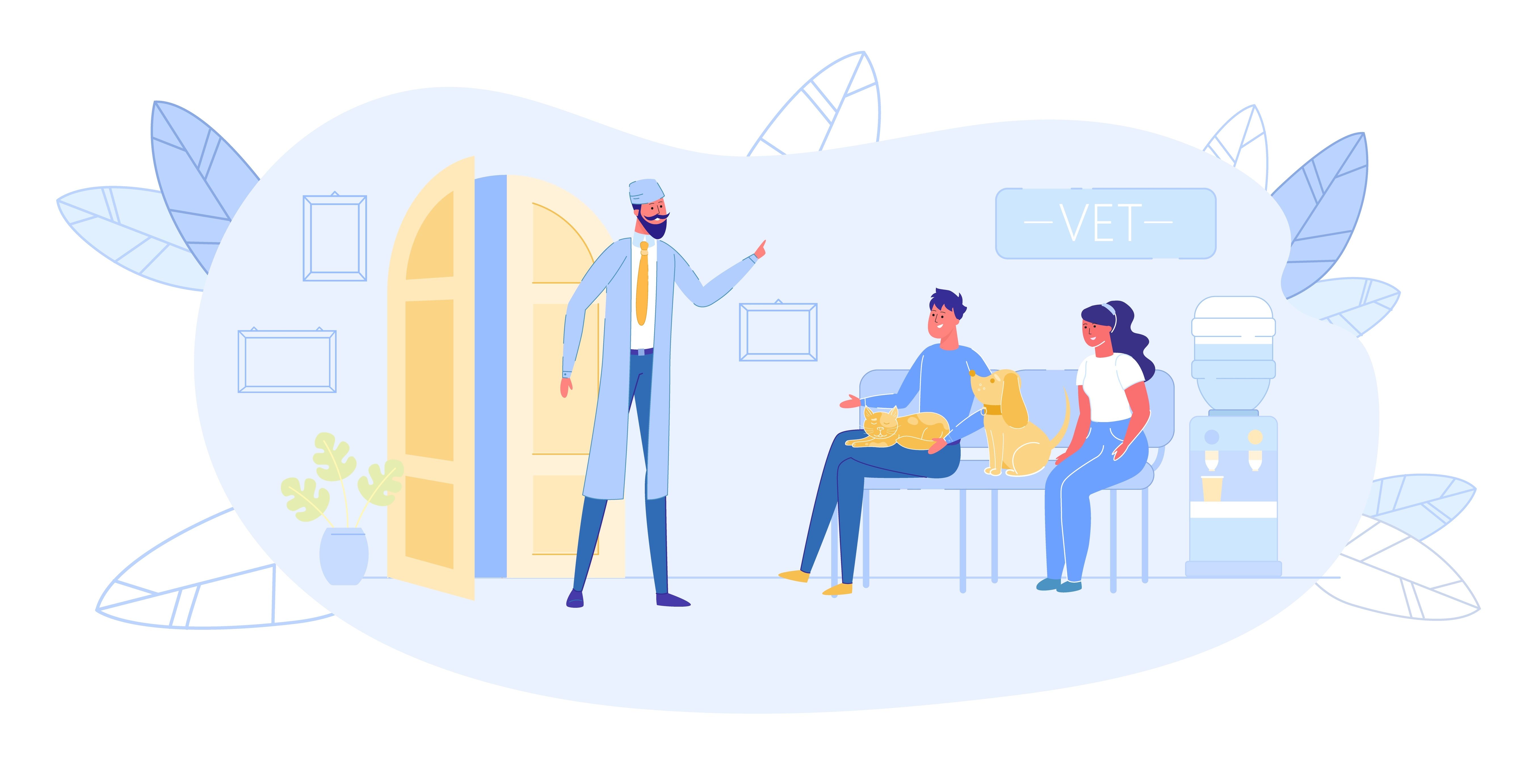 Splenic mass in 8-year-old labrador retriever