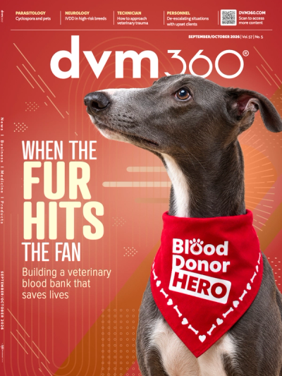dvm360