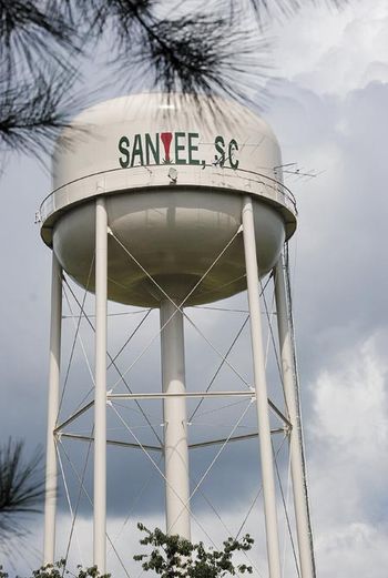 veterinary-mikepaul-watertower-santeeP_450px.jpg