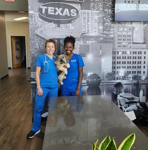 Collegiality in veterinary medicine