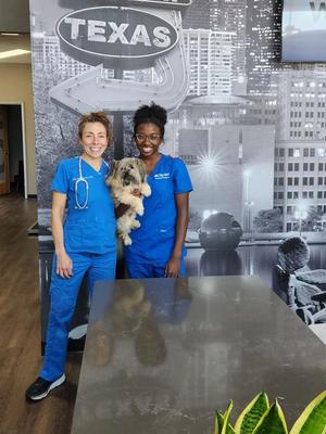 Collegiality in veterinary medicine