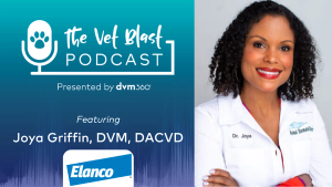 Managing atopic dermatitis in canine patients