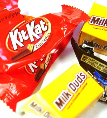 6 Halloween dangers for pets 6 Halloween dangers for pets