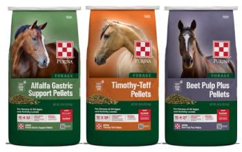 Purina launches 3 pelleted forage products for horses