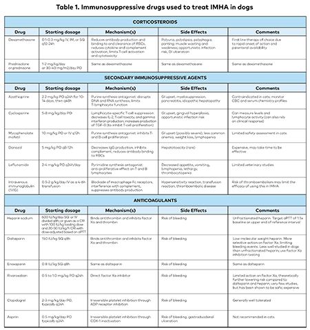 Immune Mediated Hemolytic Anemia Treating Cats And Dogs With A Complex Disease