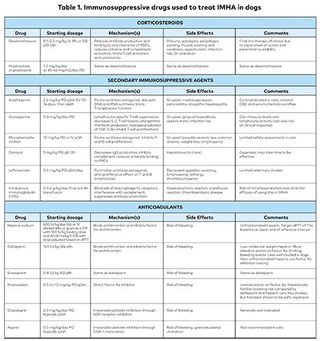 Immune Mediated Hemolytic Anemia Treating Cats And Dogs With A Complex Disease Immune Mediated Hemolytic Anemia Treating Cats And Dogs With A Complex Disease