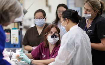 Darryl-dental_MCM_9119_460px X 284px_flash.jpg